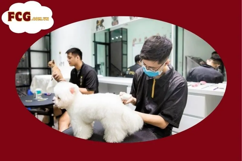 Mật Pet Family