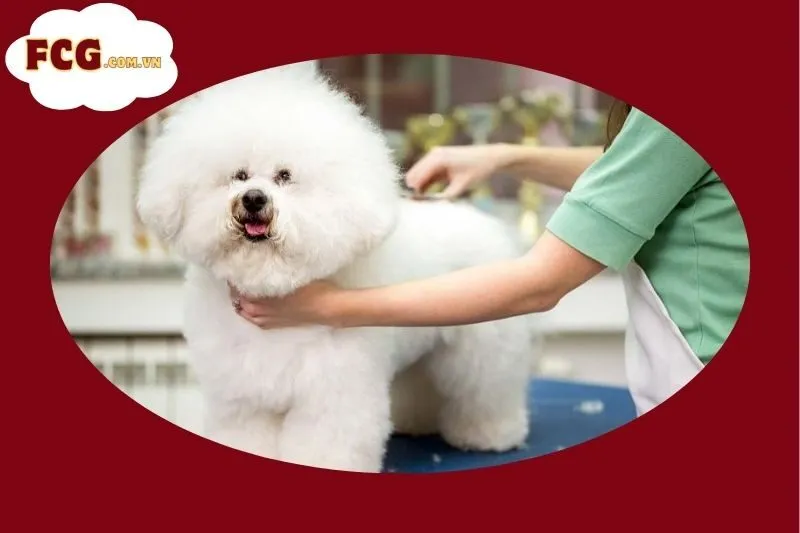 Petpro
